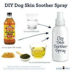 the ingredients for diy dog skin soother spray are shown in this graphic diagram