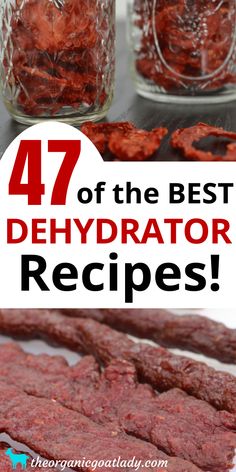 the best dehydraator recipes for dogs and cats to use in their food