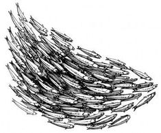 an image of a bunch of fish swimming in the ocean or lake, vintage line drawing or engraving