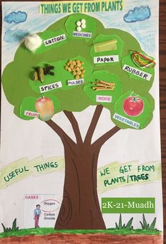 the tree is labeled with things we get from plants