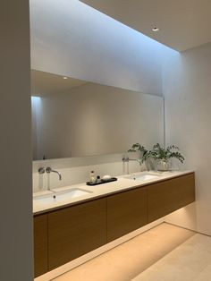 a bathroom with two sinks and a large mirror in it's center, along with potted plants on the counter