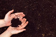 two hands holding dirt in the ground