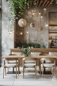 a dining room table surrounded by chairs and hanging plants on the wall, with lights above it