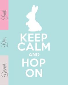 the words keep calm and hop on are shown in pink, blue, and white