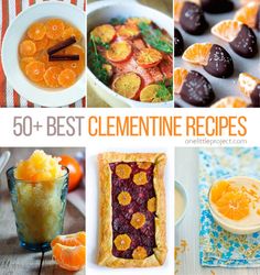 the top 50 + best clementine recipes for desserts and appetizeres