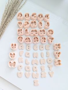 letters and numbers made out of clay on a white surface next to dried grass,