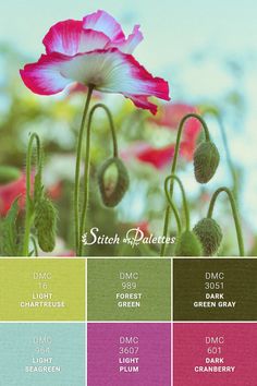 an image of a flower with colors in the background and text that says, sweet dreams