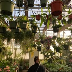 a woman is looking at potted plants in a greenhouse