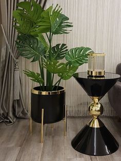 two black and gold vases with plants in them on a wooden floor next to a couch