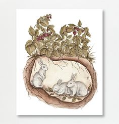 two rabbits sitting in the middle of a planter with leaves and berries on it