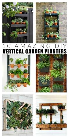 several different types of vertical garden planters with text overlay that reads 10 amazing vertical garden plants