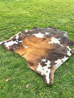 a brown and white cow skin rug on green grass