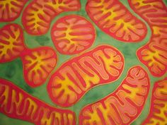 some red and yellow tomatoes are on a green tablecloth with the word tomato written in large letters