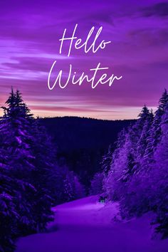 the words hello winter written in white on a purple background with snowy trees and snow covered ground