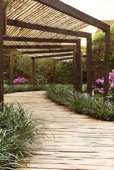 a wooden walkway surrounded by purple flowers and greenery