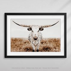 a long horn steer standing in a field looking at the camera with an intense look on its face