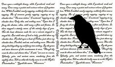 a black bird sitting on top of an open book with writing in the pages behind it