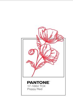 the pantone logo is shown in red on a white background with an image of two flowers