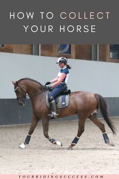 a woman riding on the back of a brown horse with text overlay reading how to collect your horse