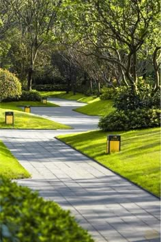 an empty path in the middle of a park