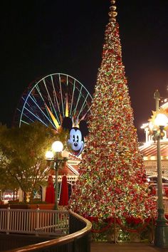 a large christmas tree in front of a ferris wheel