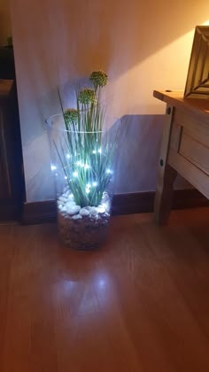 a potted plant with lights in it sitting on the floor next to a table