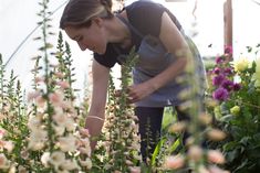 a woman is tending to some flowers in a garden area with lots of pink and white flowers