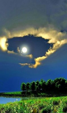 the moon is shining in the cloudy sky above some trees and grass near a body of water