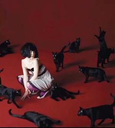 a woman sitting on the ground surrounded by black cat figurines in front of a red background