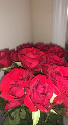 a bunch of red roses sitting on top of a white countertop next to a window