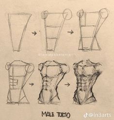 some drawings of different types of muscles and how to draw them with pencils on paper