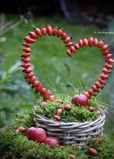 a basket filled with lots of red apples sitting on top of a lush green field