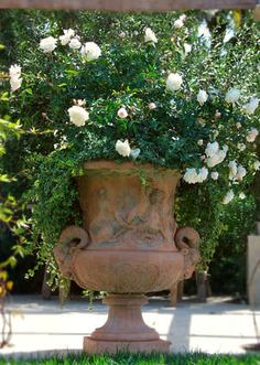 a large vase with white flowers in it sitting on the ground next to an arbor