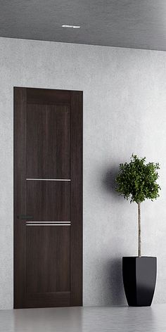 a potted plant sitting next to a wooden door in a room with white walls