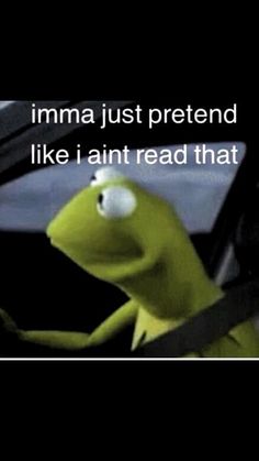 kermie the frog driving with text that reads imma just pretendd like i amt read that