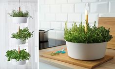 a potted plant sitting on top of a wooden cutting board next to a knife