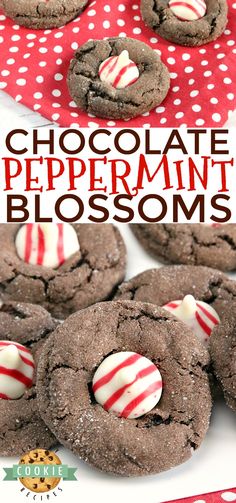 chocolate peppermin blossom cookies on a plate with candy canes in the middle and red polka dots around them