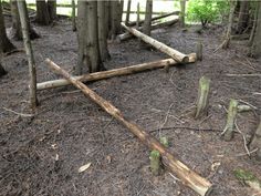 several pieces of wood that are laying on the ground