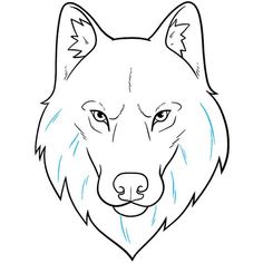 how to draw a wolf's head with simple lines and strokes step by step