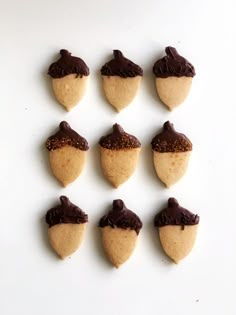 twelve cookies with chocolate frosting and sprinkles arranged in the shape of acorns