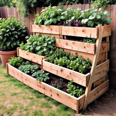 a wooden garden planter filled with lots of plants