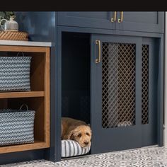 a dog laying in his bed on the outside of a blue door with its head sticking out