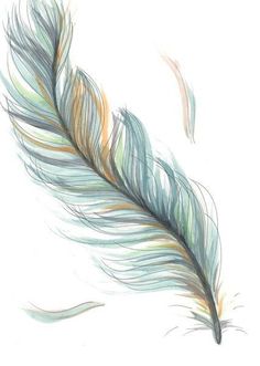 a drawing of a feather on a white background