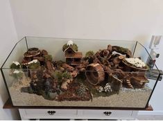 a fish tank filled with lots of different types of plants and animals on top of it