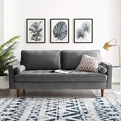 a living room with three framed pictures on the wall and a gray couch in front of it