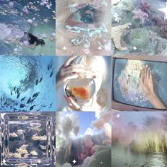 a collage of images with fish, water and clouds in the middle one has a hand reaching out to a goldfish