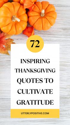 72 Best Thanksgiving Quotes to Show Appreciation Thanksgiving Celebration, Show Appreciation, Expressing Gratitude, The Things