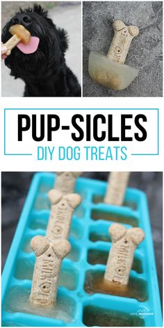 dog treats made out of popsicle sticks with the words pup - slices on them