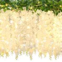 white flowers with green leaves and lights hanging from them on a tree branch in front of a white background