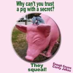 a pink pig statue with the caption why can't you trust a pig with a secret?